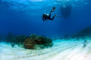 scuba diving - Roatan, Honduras